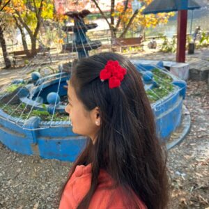 Heart Clips