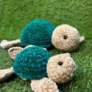 Turtle